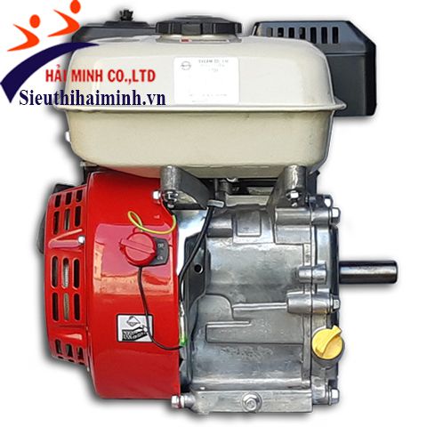 Động cơ xăng VIKYNO 168F-L (5,5 hp Cốt xéo) - Ảnh 3