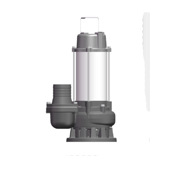 Máy bơm nước Pumpman 40-125A - Ảnh 2