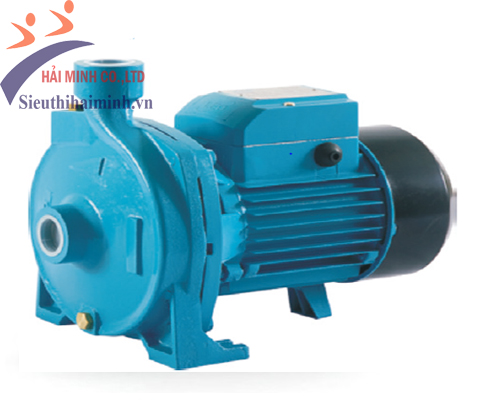 Máy bơm nước thải Lepono XKS 400S - Ảnh 2
