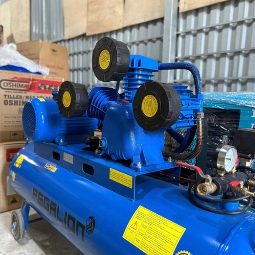 Máy nén khí Pegasus TM- V-0.17/8 (2HP) 70L - Ảnh 4