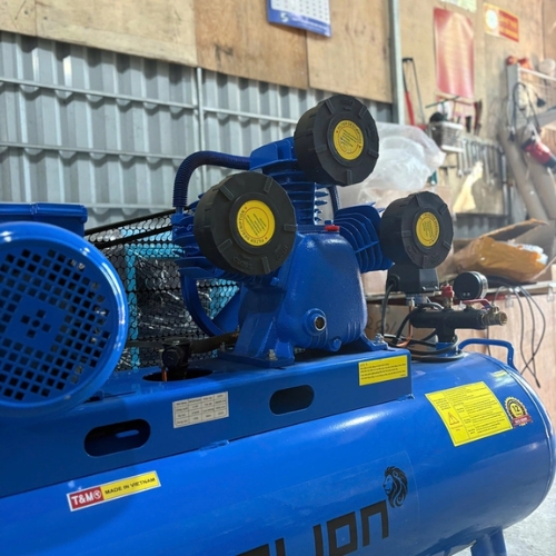 Máy nén khí Pegasus TM- V-0.17/8 (2HP) 70L - Ảnh 6