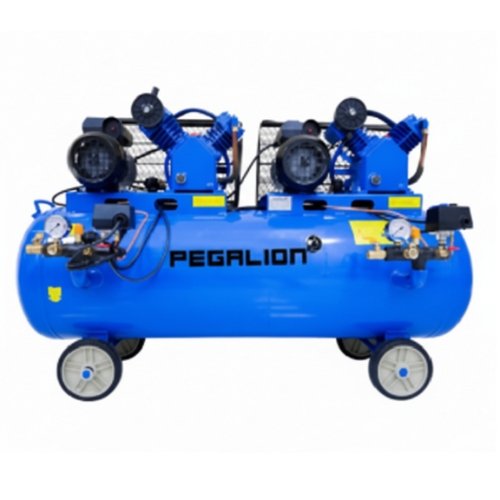 Máy nén khí dây đai Pegasus TM-W-0.67/8-330L - Ảnh 2