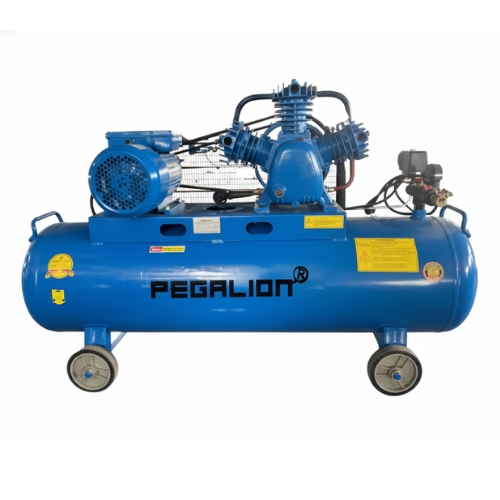 Máy nén khí dây đai Pegasus TM-W-0.36/8-180L (220V) - Ảnh 2