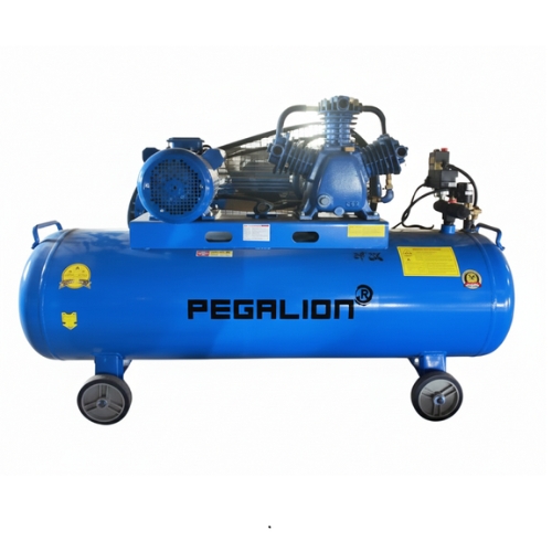 Máy nén khí dây đai Pegasus TM-W-0.36/8-180L (220V) - Ảnh 2