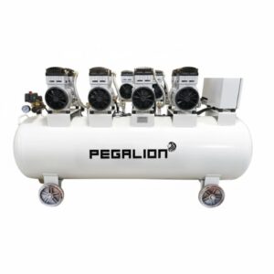 Máy nén khí trục vít Pegasus TMPM-20HP (1.2 mpa)