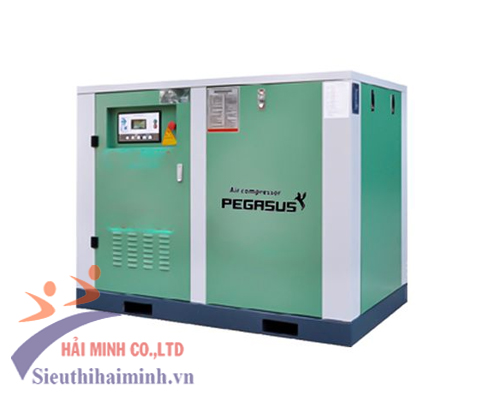 Máy nén khí trục vít Xinlei CACPM-20A - Ảnh 3