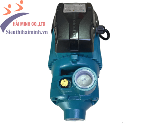 Máy bơm chìm nước thải Lepono XKS-750S - Ảnh 5