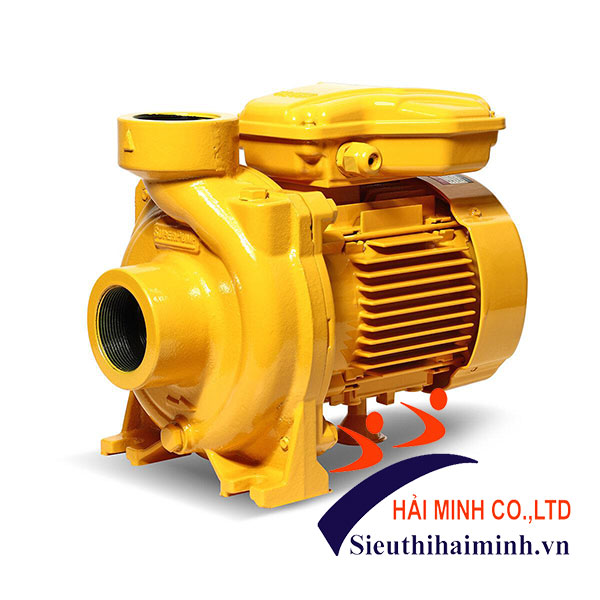 Máy bơm nước SSP-255SC - Ảnh 2
